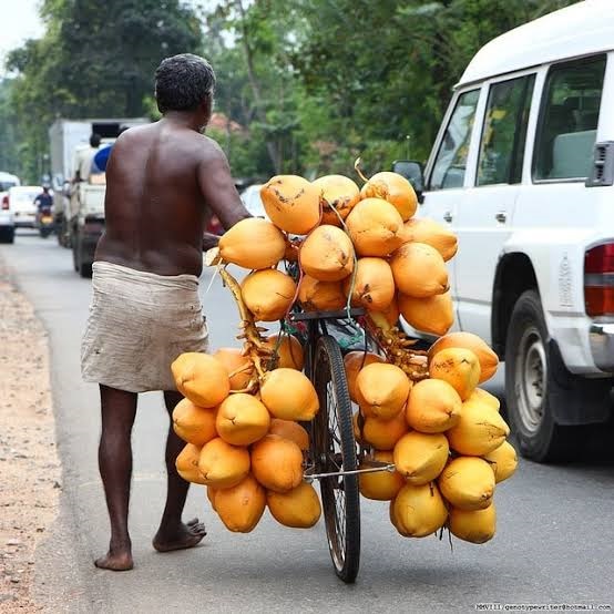 King Coconuts